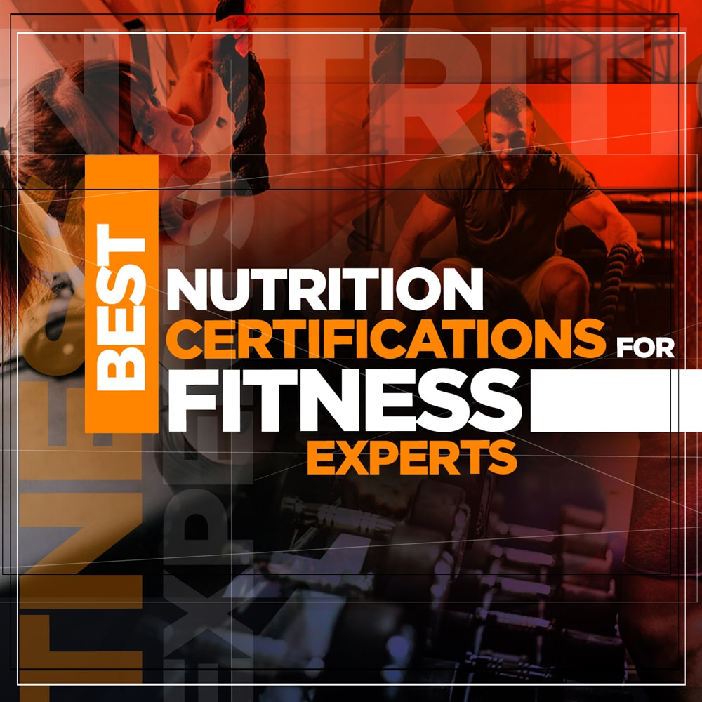 {Top 5} Best Nutrition Certifications for Fitness Experts ...