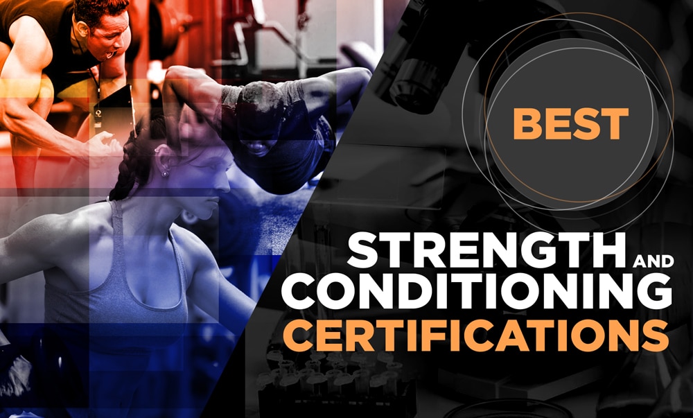 Best Strength and Conditioning Certifications (CSCS, PES, SCCC)