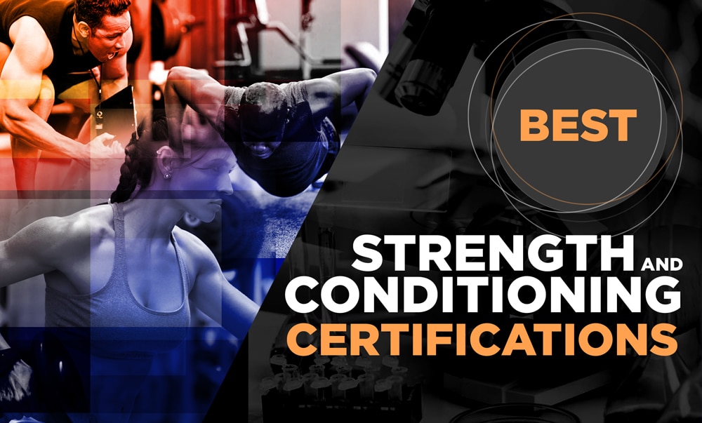 Best Strength and Conditioning Certifications (CSCS, PES, SCCC) - Crush  Your Exam!