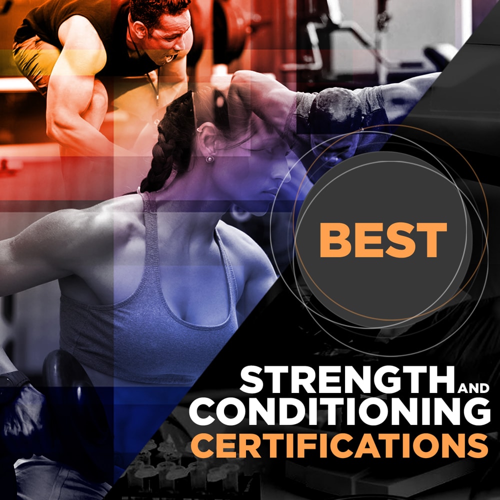 Best Strength and Conditioning Certifications (CSCS, PES, SCCC) - Crush  Your Exam!