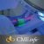 Radiation Oncology – A Comprehensive Review. Oakstone Clinical Update (SA-CME)